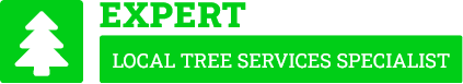 Manawatu Arborist - Tree Removal Manawatu